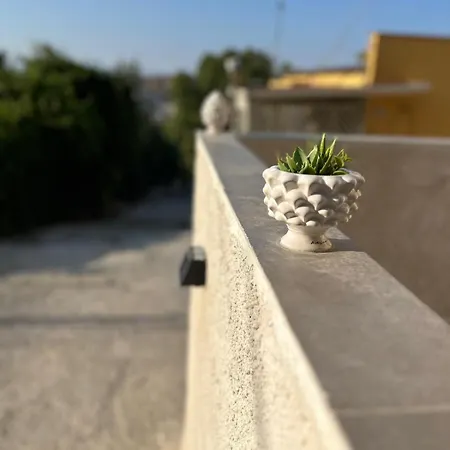Pisano *